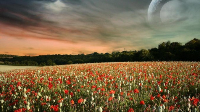 notion和Obsidian这两款软件选哪个？